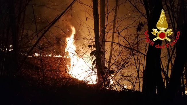 Bosco distrutto dalla grigliata: 13 milioni di multa a due ventenni