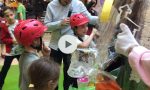 Uova d'autore benefiche al Centro commerciale Treviglio (e poi arriva il super uovo) VIDEO