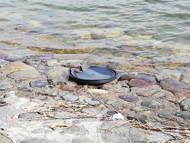 Puliamo il mare con il Parco del Basso Brembo