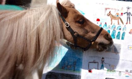 Un pony per maestro: a Patrick del Country ranch serve un nuovo trailer