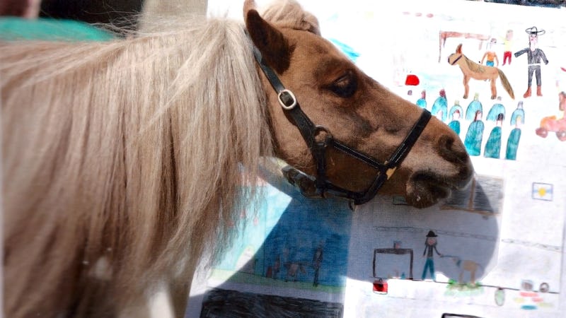 Un pony per maestro: a Patrick del Country ranch serve un nuovo trailer