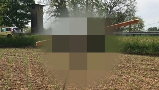 Agghiacciante spaventapasseri a Pagazzano: cornacchia crocifissa in un campo