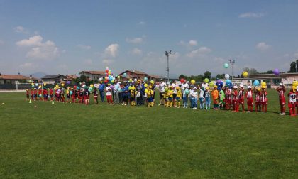 Torneo in memoria di Daniel Busetti insieme all'Avis zona 13 FOTO VIDEO