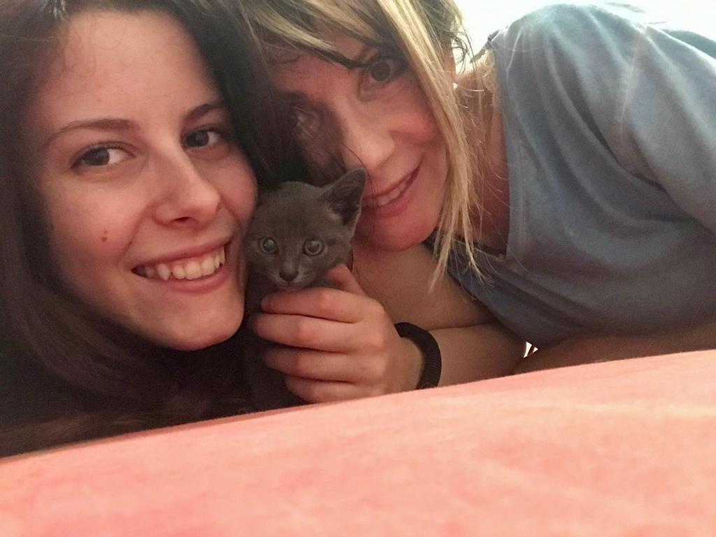 Gattino intrappolato nel vano motore, lo salva la Polizia locale