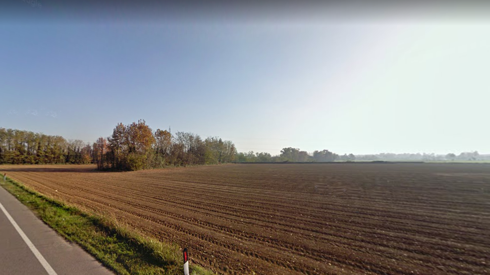 Allevamento di capre tra Spirano e Cologno, l’ok del Consiglio comunale