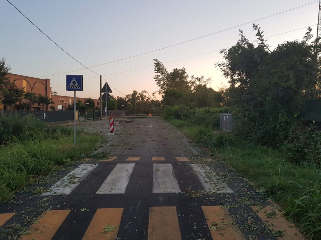 bufera