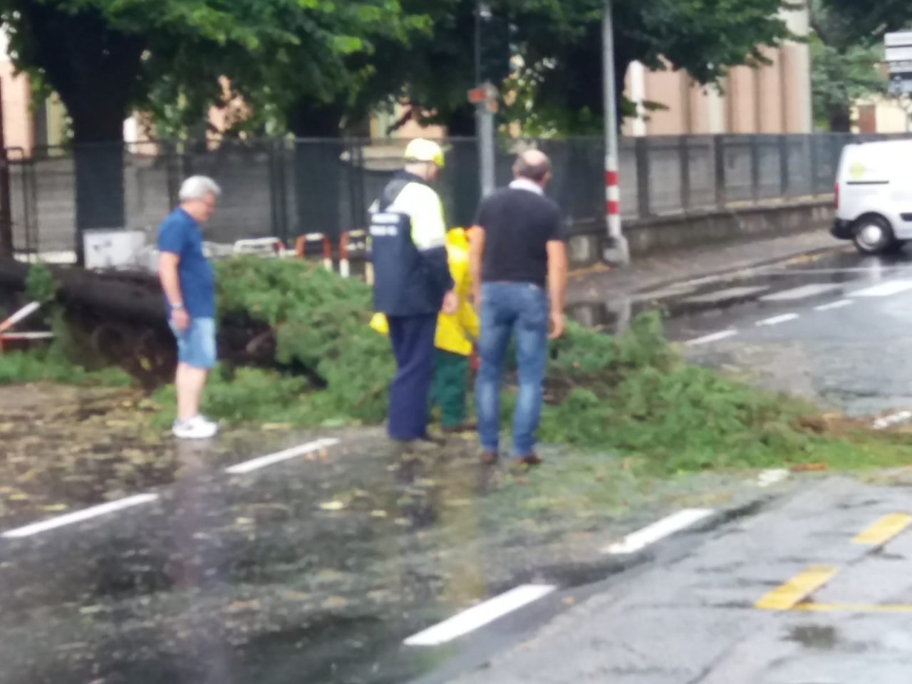 Bufera, a Fara d’Adda un albero si è schiantato sulla Sp 184 bis FOTO