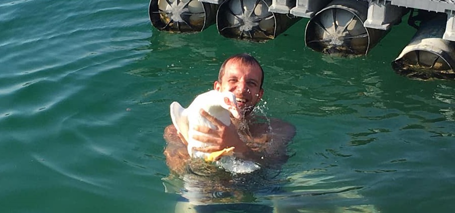 Il sindaco “eroe”  si tuffa e salva un’oca dall’annegamento
