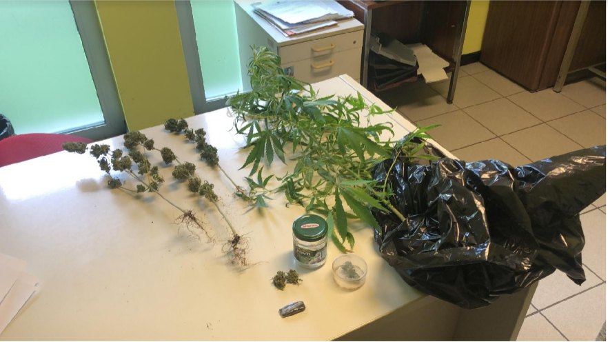 Marijuana sul balcone, denunciato 61enne