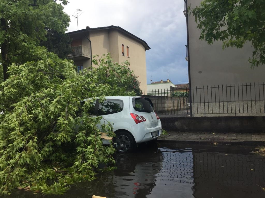 via Terni, albero crolla su un'auto