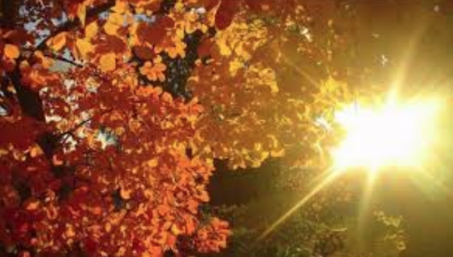 L’autunno è alle porte: le previsioni lo confermano