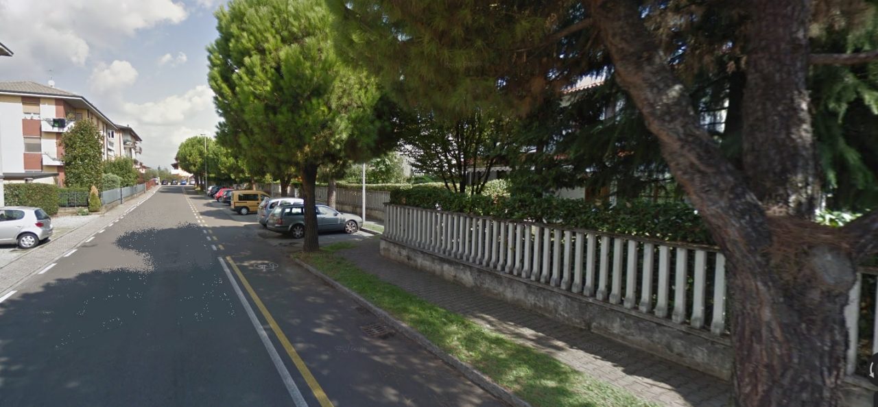 Abbattuti i pini marittimi di Boltiere: “Erano pericolosi”