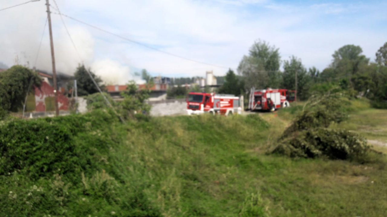 In fiamme un cascinale, i pompieri salvano due cani a Mozzanica
