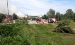 In fiamme un cascinale, i pompieri salvano due cani a Mozzanica