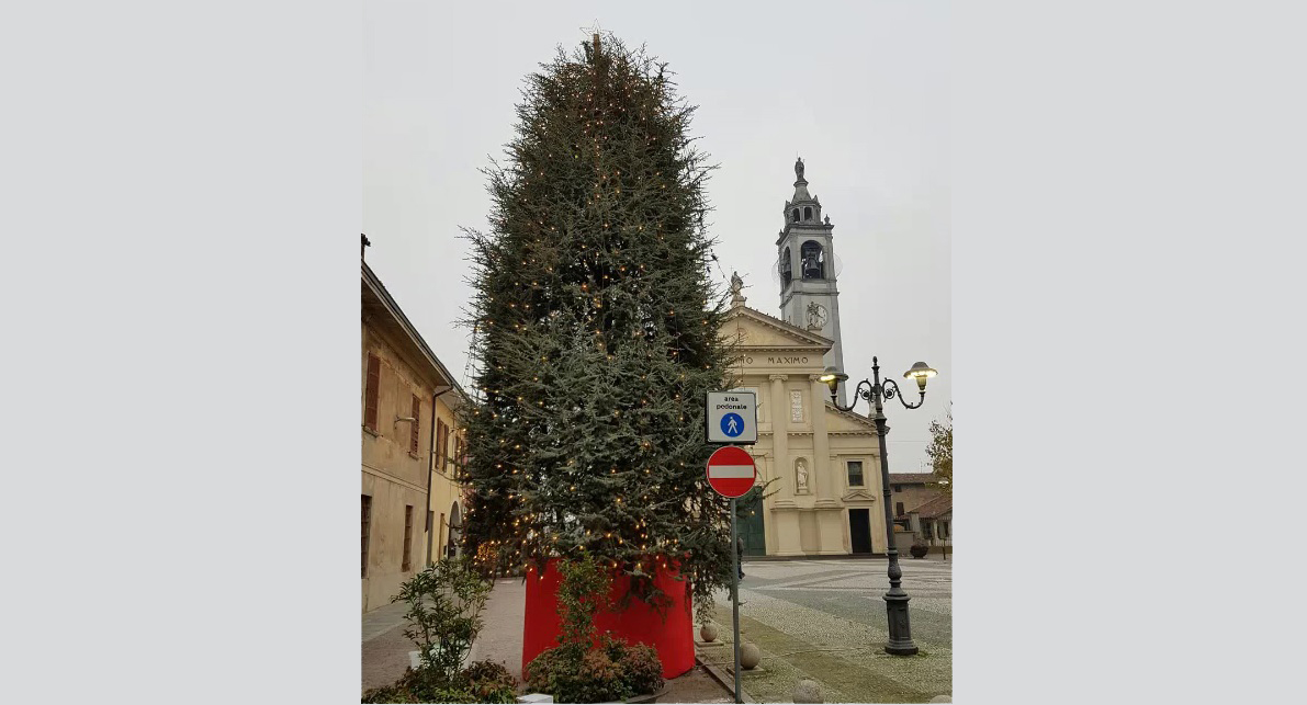 Donato l’albero di Natale per la piazza