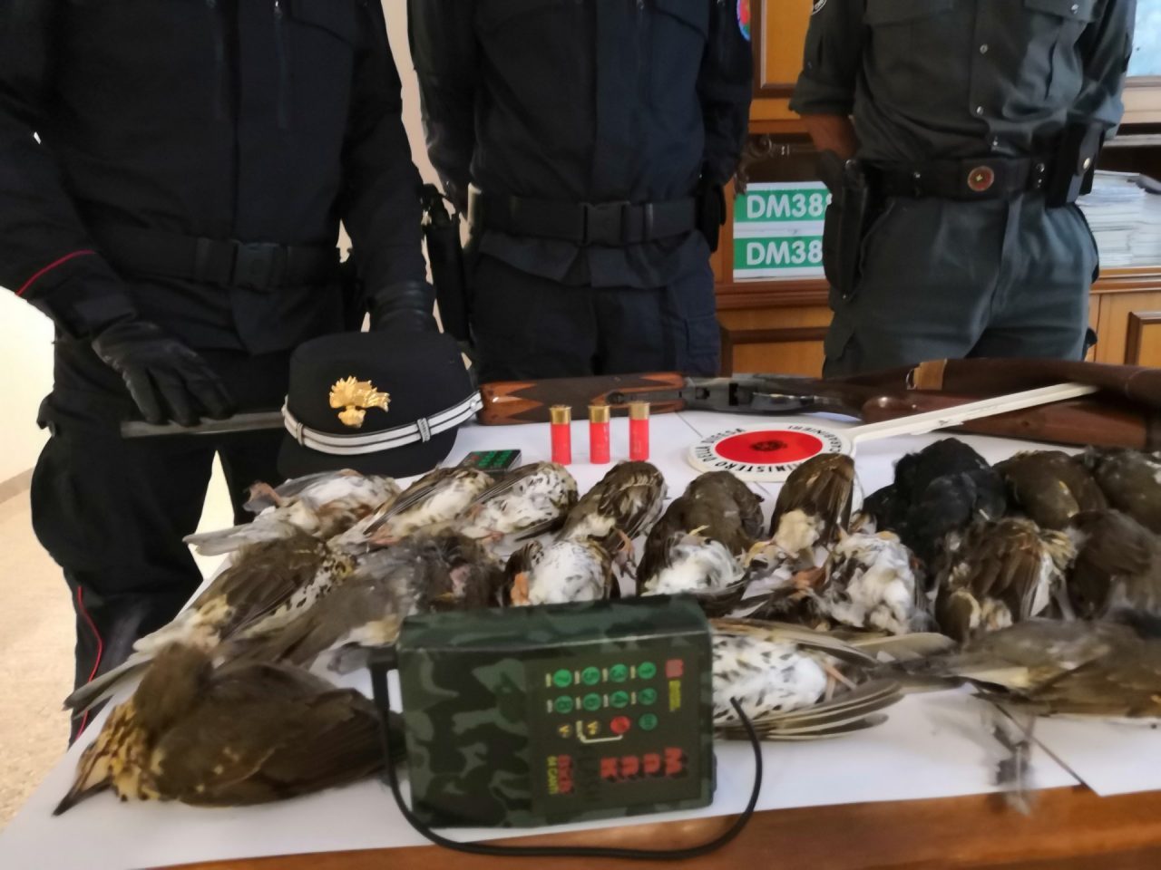 Caccia ai tordi con richiamo vietato: sequestri a Soncino