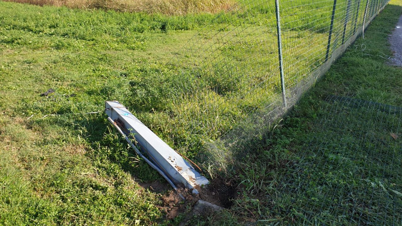 Sfonda la recinzione dell’allevamento e le lepri scappano nei campi