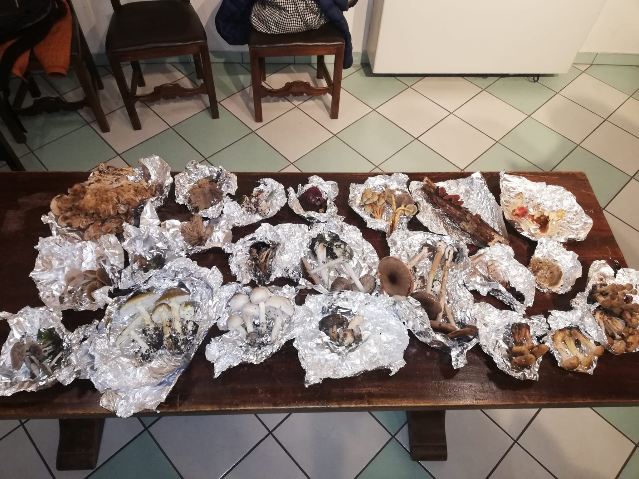 serata micologica
