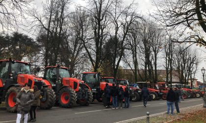 Agricoltori in festa a Caravaggio FOTO