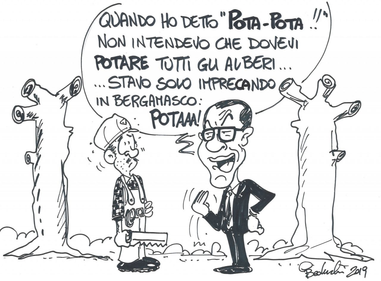 Alberi potati in paese, ecco il motivo del taglio eccessivo
