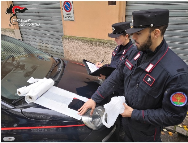 Buste in plastica irregolari: multe e sequestri a Crema e Cremona