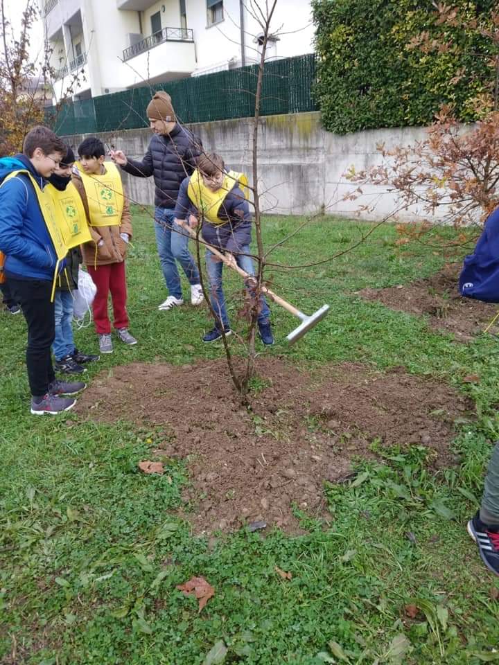 festa albero (12)