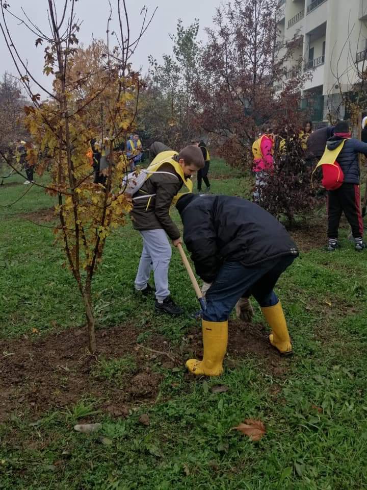 festa albero (3)