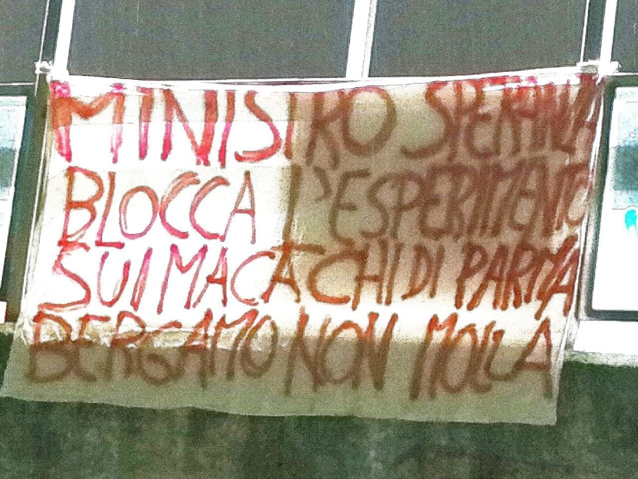 Macachi liberi torna a protestare: anche a Bergamo uno striscione contro la ricerca