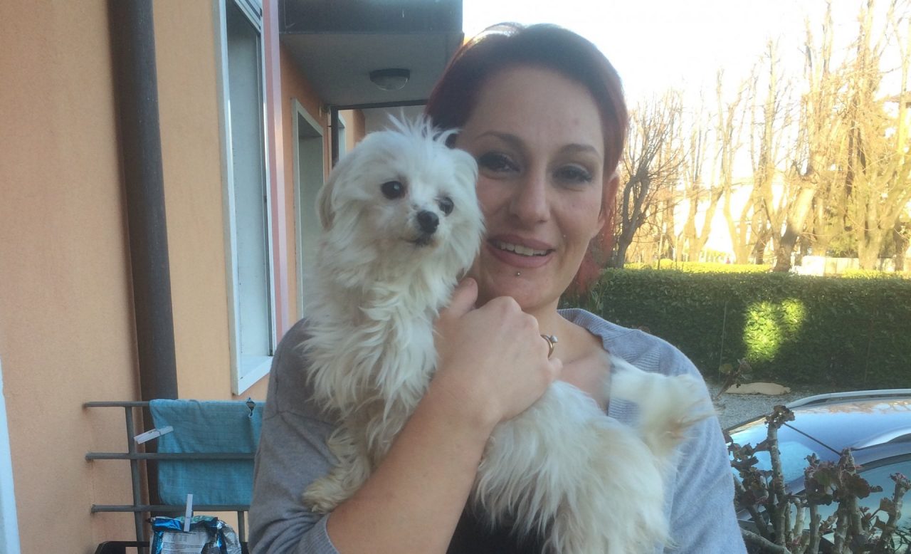 Cagnolina rapita per una notte, è giallo