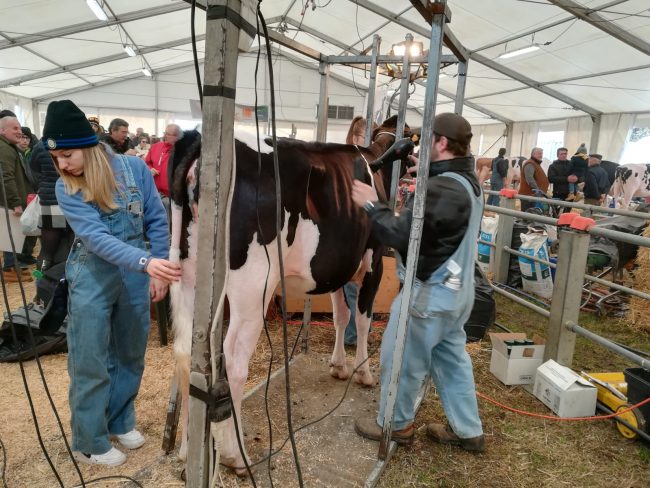 E’ ufficiale: la fiera di Sant’Apollonia non si farà