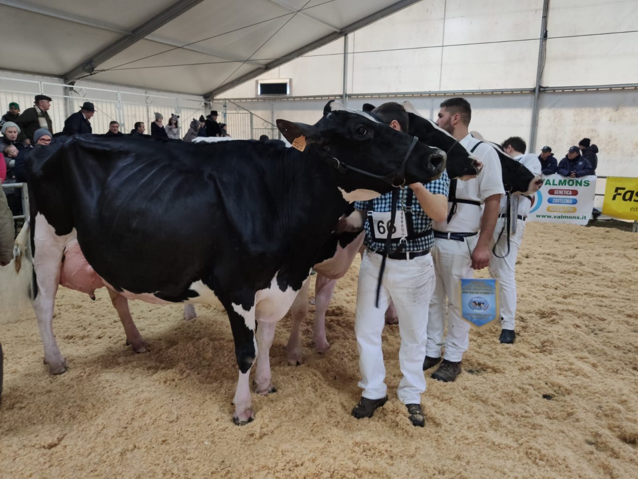 Sant’Apollonia, dopo due anni torna la fiera agricola di Rivolta