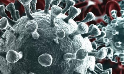 Coronavirus: i dati del 31 maggio segnano un lieve aumento dei casi