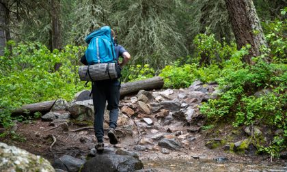 Un libro per raccontare un viaggio tra arte, fede e natura in bergamasca