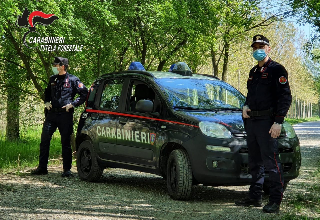 Pasqua, i carabinieri forestali intensificano i controlli