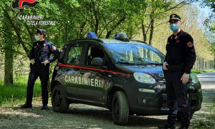 Pasqua, i carabinieri forestali intensificano i controlli