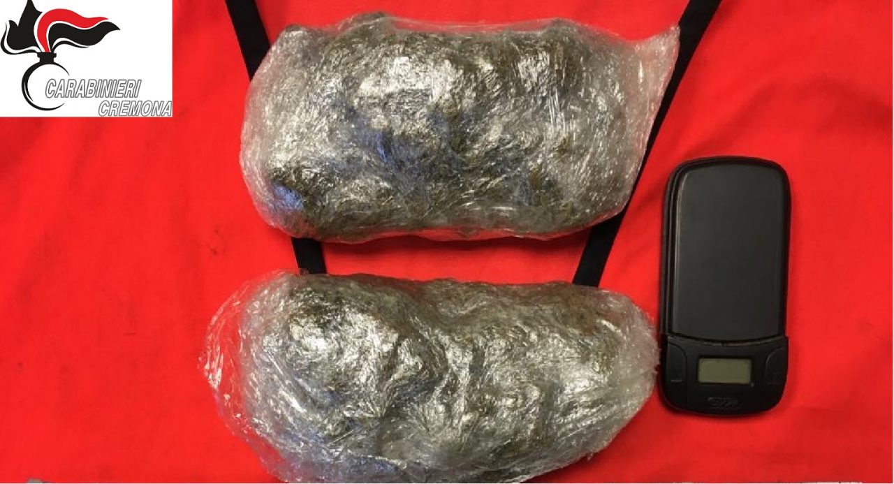 A zonzo (con la droga): 20enne multato e denunciato