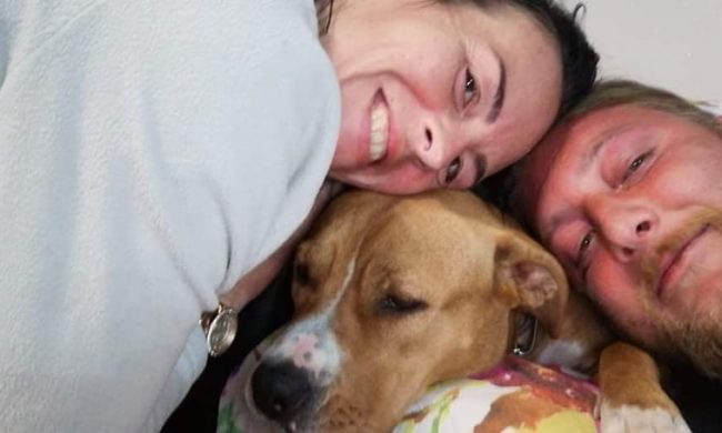 Si sente male sull’alzaia della Muzza e viene salvato dal veterinario: cane avvelenato?