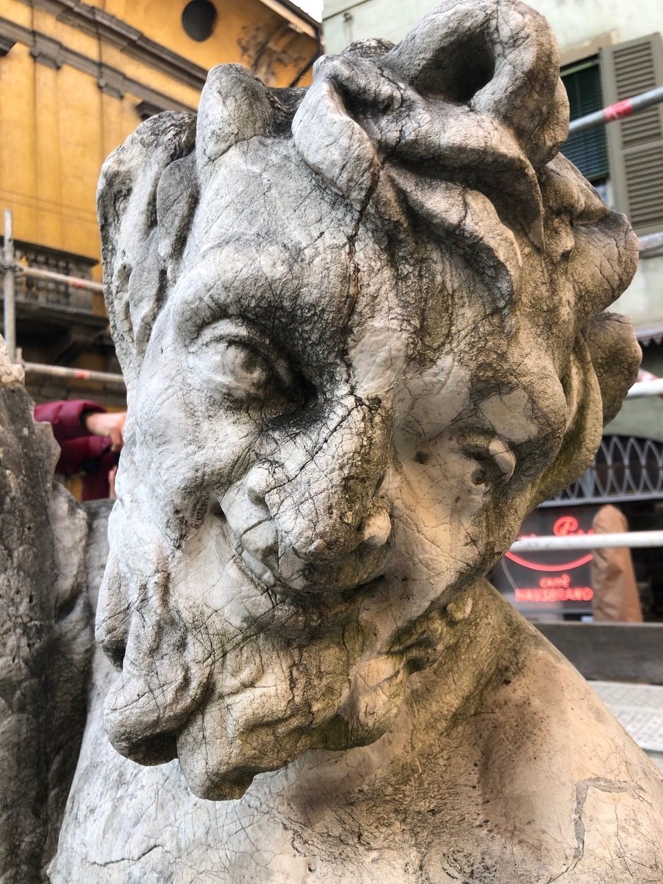 fontana del delfino