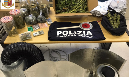 Scoperta dalla Polizia una serra indoor per la coltivazione della marijuana