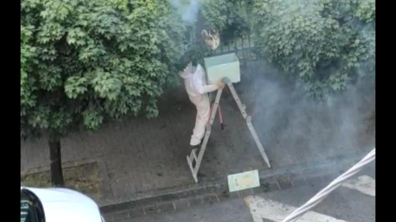 Enorme alveare davanti alle medie “Grossi”:   l’intervento VIDEO