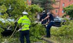 Temporale violento, danni nella Bassa