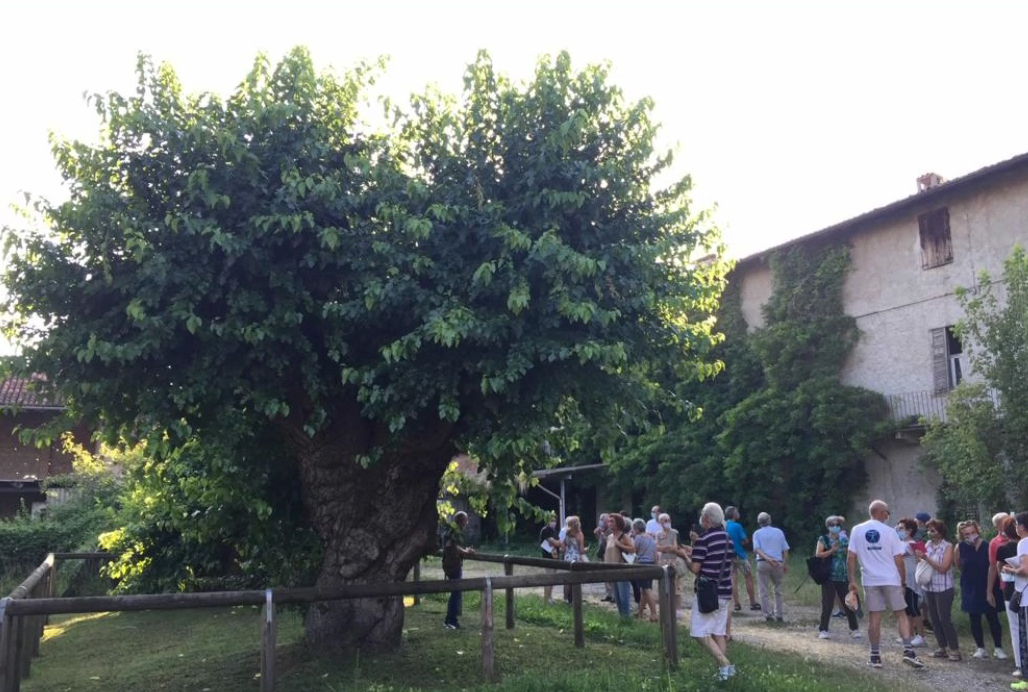 “Treviglio e dintorni”, al via le passeggiate storico naturalistiche alla scoperta del territorio