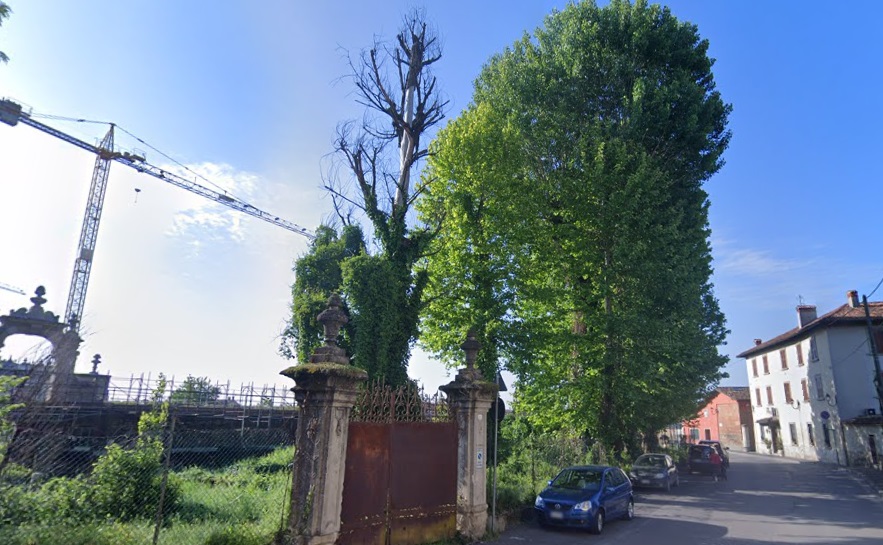 Alberi pericolanti e topi a Palazzo Visconti: scatta l’ordinanza