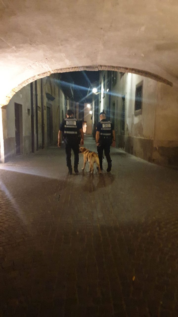 “Spiry” a Romano fiuta marijuana addosso a un minorenne FOTO