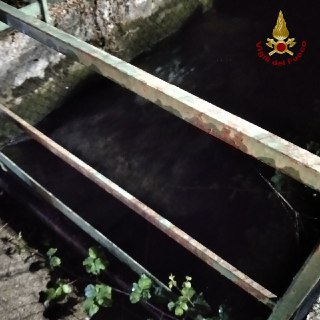 Cadono nel fosso, cani salvati dai Vigili del fuoco FOTO