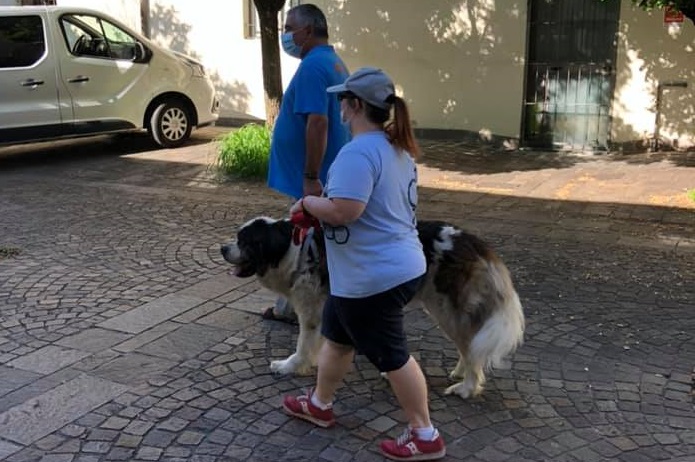 Con Hibiscus una giornata di pet therapy con Melody