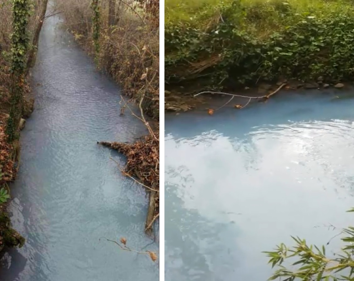 Acqua azzurra nelle rogge della Bassa: ma è inquinata
