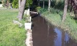 Liquami nel fontanile, allarme ambientale al Carpineto