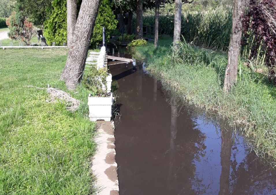 Liquami nel fontanile, allarme ambientale al Carpineto