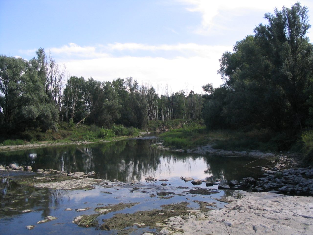 Fiume Serio, via alla campagna di contenimento del pesce siluro